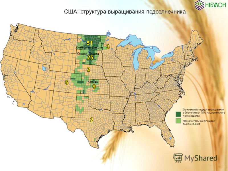 США: структура выращивания подсолнечника Основные площади выращивания обеспечивают 75% национального производства Незначительные площади выращивания Северная Дакота Южная Дакота Канзас