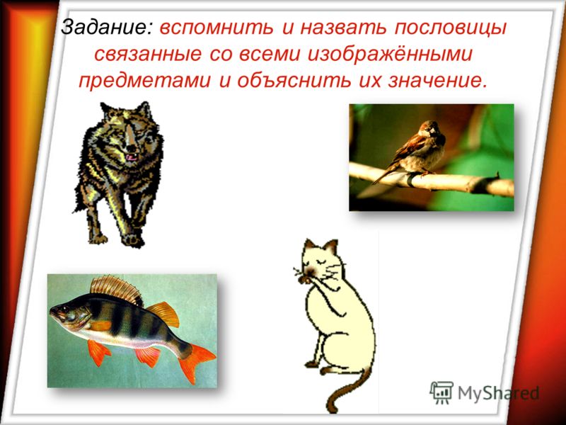 Пословицы журавль брод вода Пословицы журавль брод вода