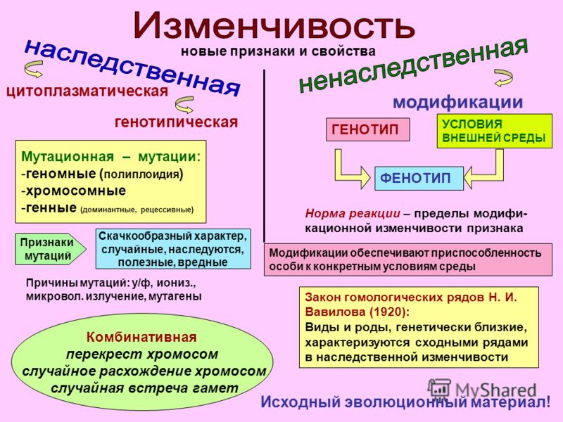 Развивающие игрушки своими руками для детей 0-5 лет Крестик Семинар «Афрокосички» siderius Удобный график обучения