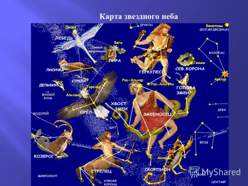 Е.Зарицкая - Земля полна чудес