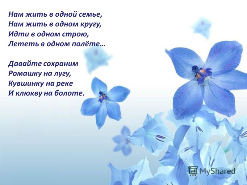 скачать антонов не рвите цветы не рвите Видео не рвите цветы.