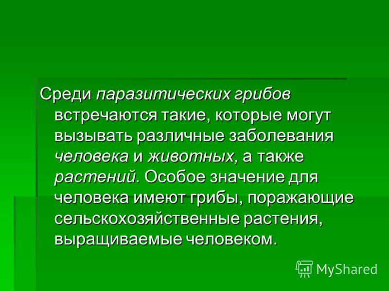 грибы паразиты человека презентация грибы паразиты человека презентация