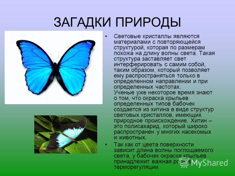 Загадка о красоте природы Загадка о красоте природы