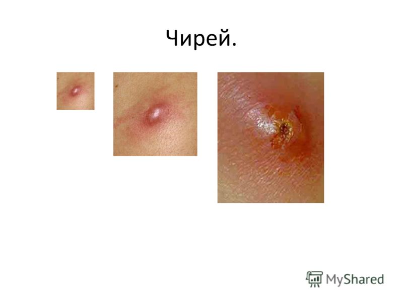 Как сделать чтобы фото с айфона появлялись на айпаде Как сделать чтобы фото с айфона появлялись на айпаде