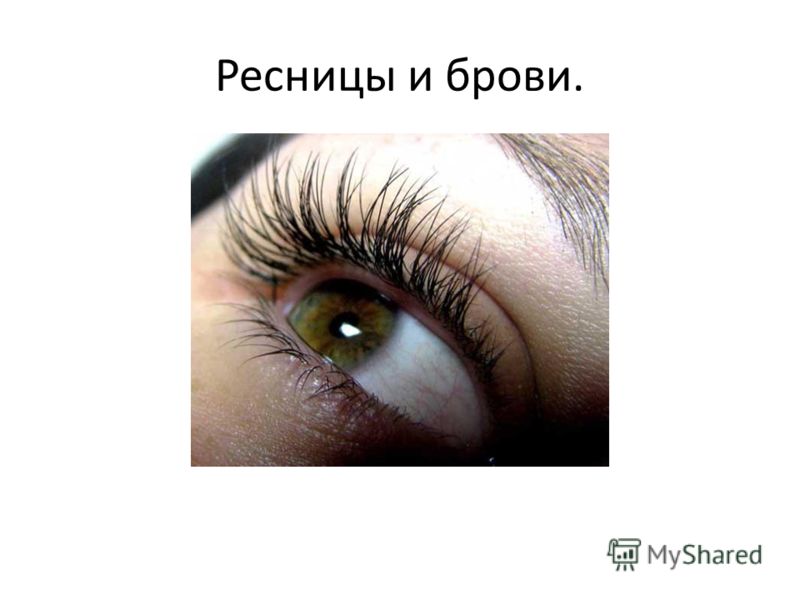 Векторные браки. Совместимость знаков в структурном гороскопе 10 вещей, которые должен знать каждый будущий парикмахер-стилист