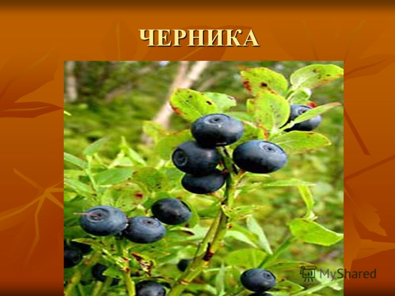 Методика по восстановлению зрения отзывы