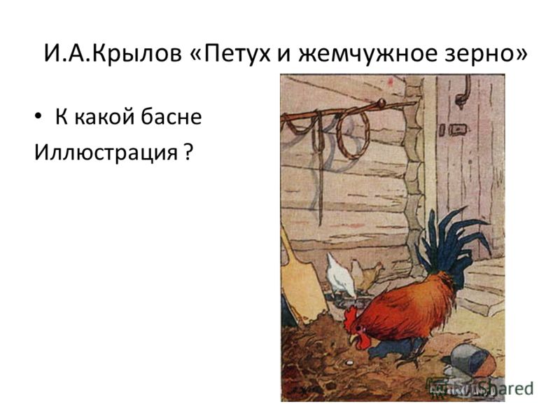И.А.Крылов «Петух и жемчужное зерно» К какой басне Иллюстрация ?