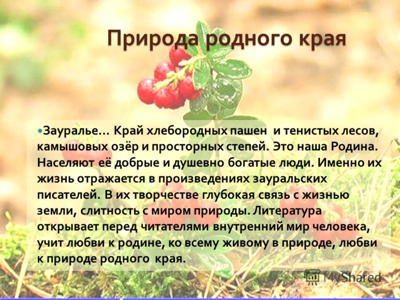 Зауралье мое зауралье стих Зауралье мое зауралье стих