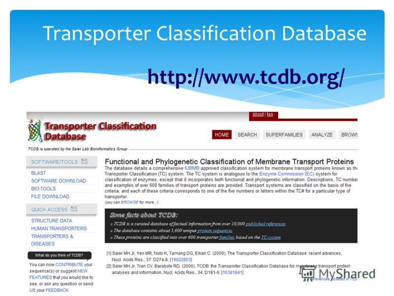 http://www.tcdb.org/ Transporter Classification Database
