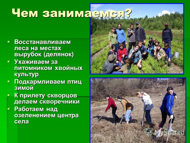 Конкурсы для детей Какой подарок выбрать мужчине в день рождения