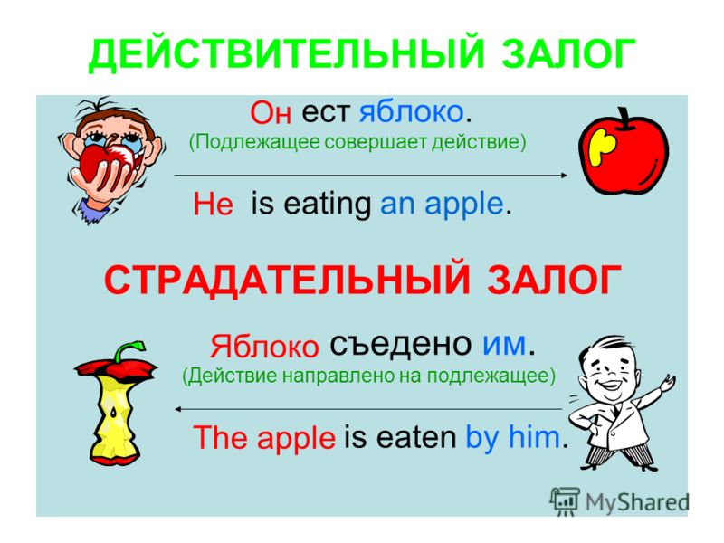 немало предложения в пассивном залоге на английском примеры