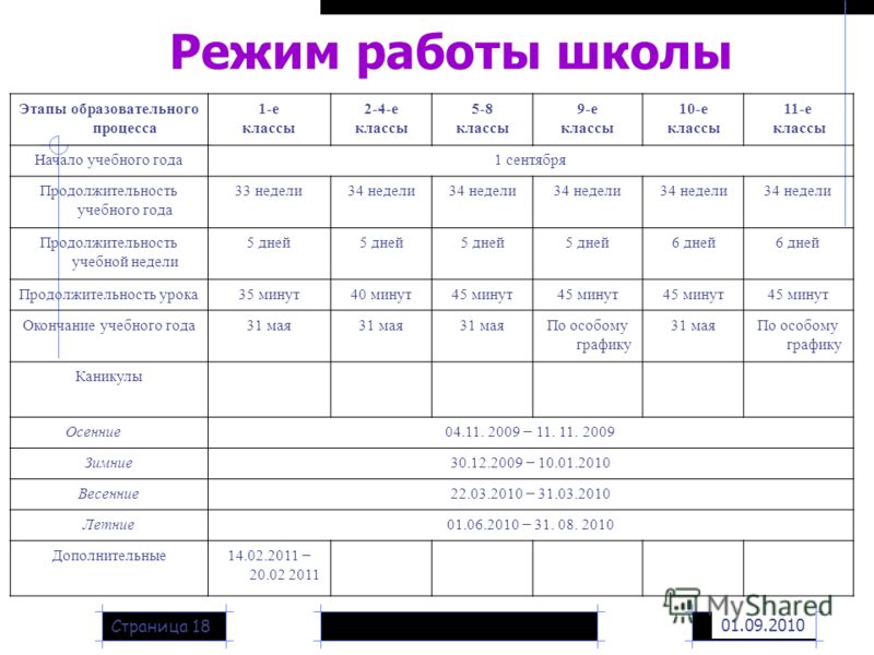 График работы школы образец