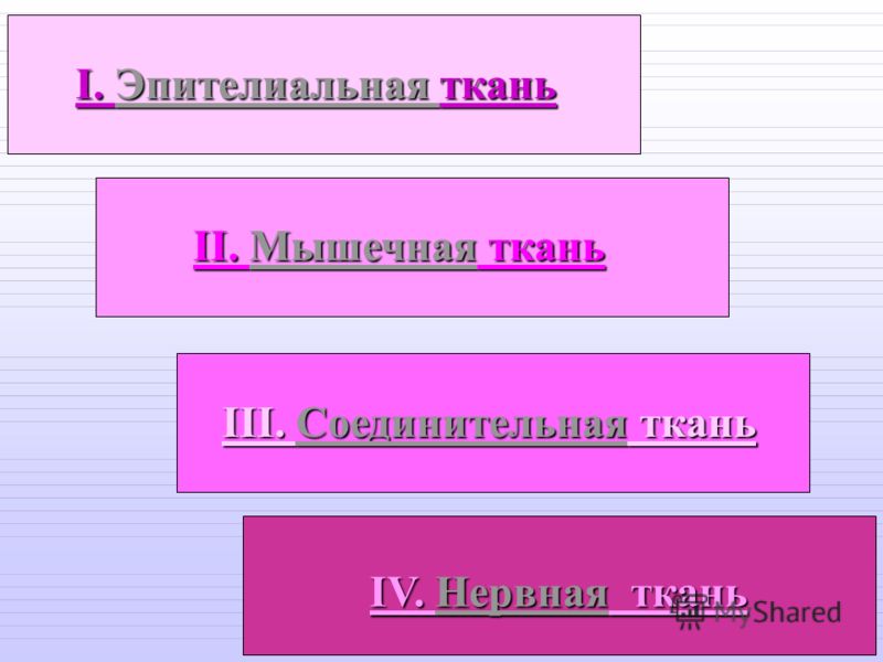защита организма от паразитов защита организма от паразитов