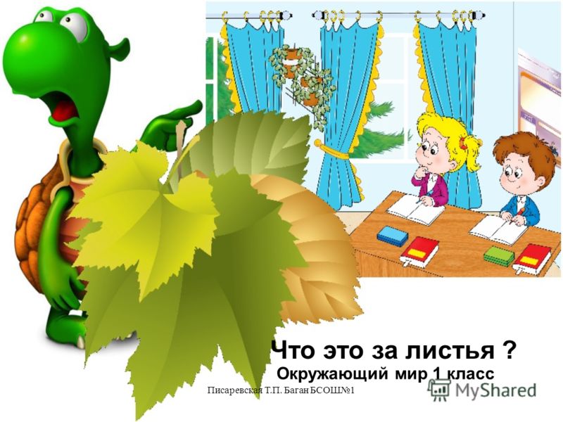 картинки на тему окружающий мир