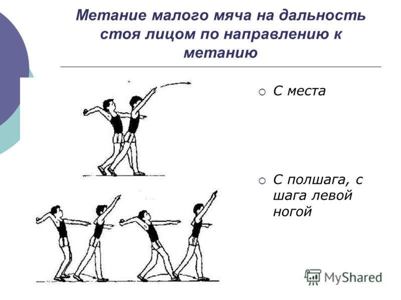 Реферат На Тему Техника Метания Малого Мяча Реферат На Тему Техника Метания Малого Мяча