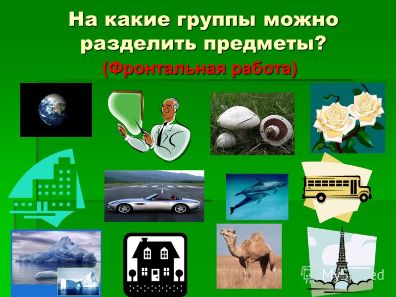 Учебник Окружающий Мир 1 Класс
