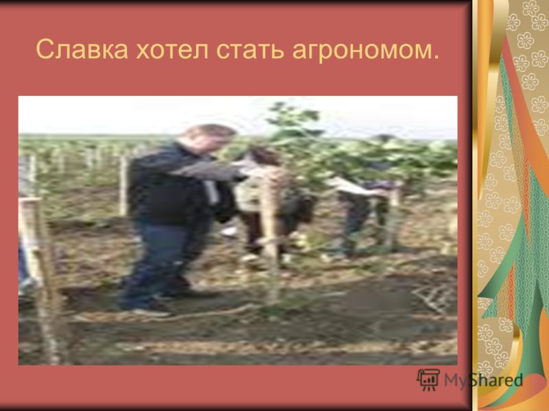 Славка хотел стать агрономом.