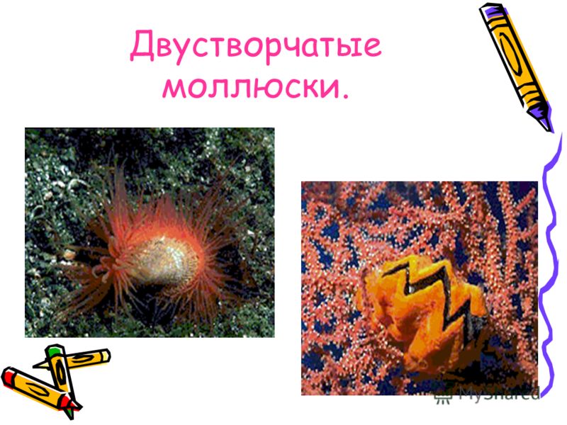 epub