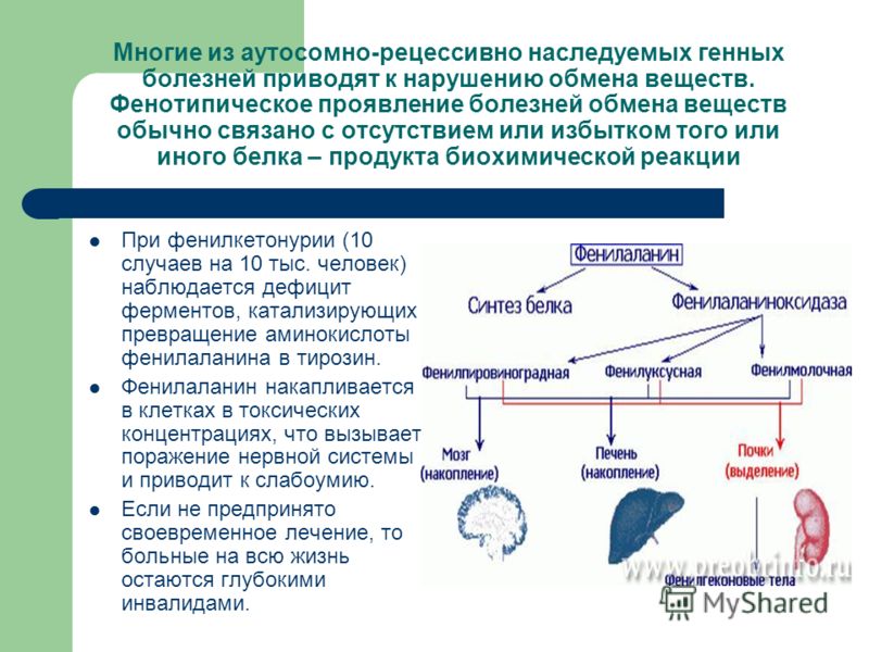 С чем связано нарушение обмена веществ в организме С чем связано нарушение обмена веществ в организме