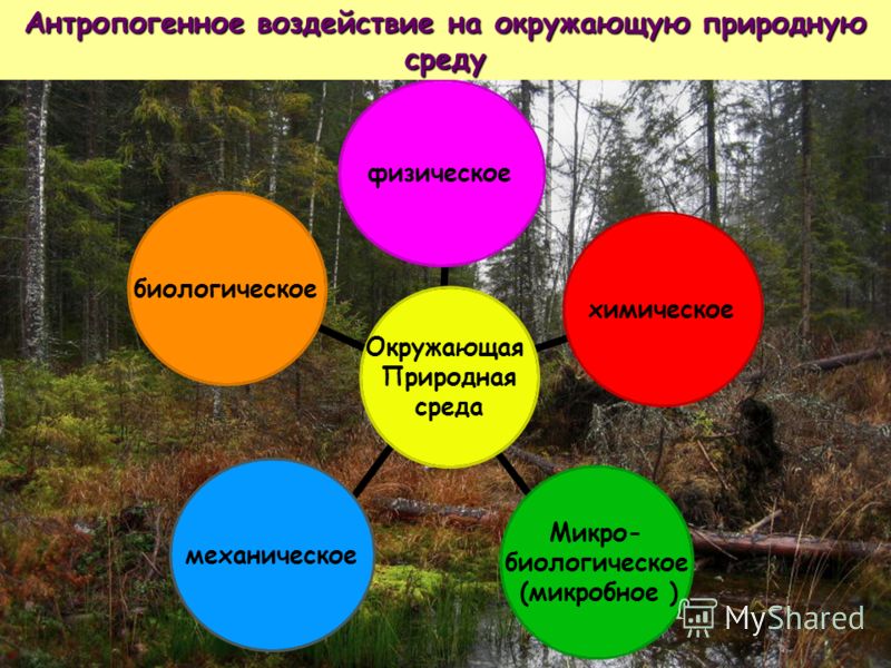 Влияние Окружающей Среды На Генетическое Здоровье Человека Презентация