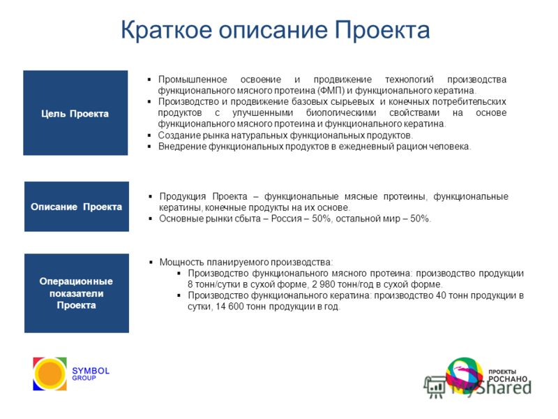 Краткое описание продукта проекта