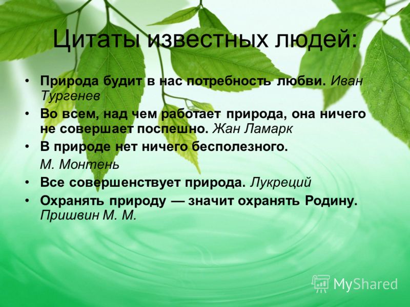 Картинки про любовь с людьми и природой Картинки про любовь с людьми и природой