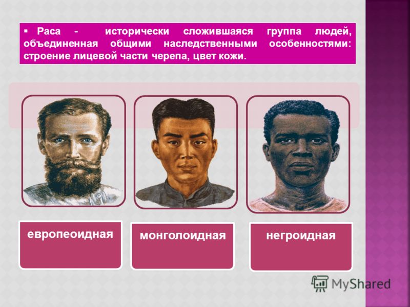 скачать презентация расы человека