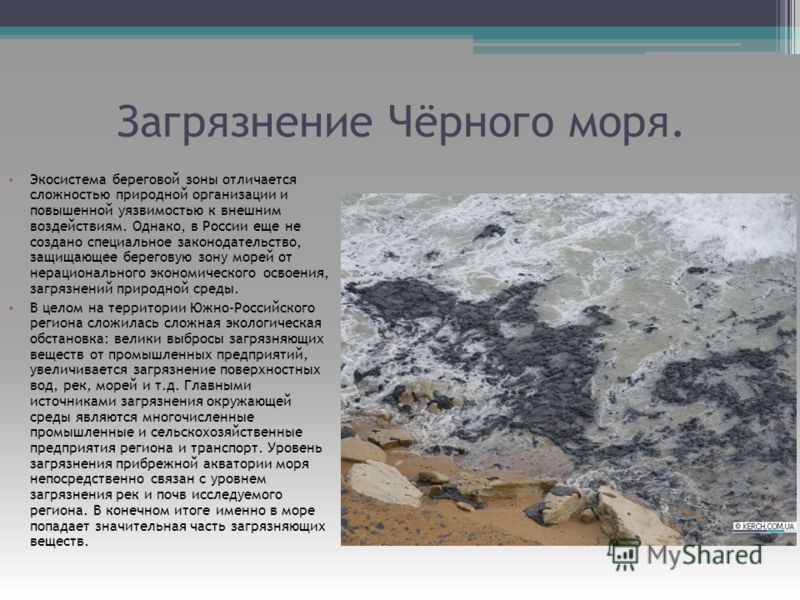 Реферат: Экология Черного моря