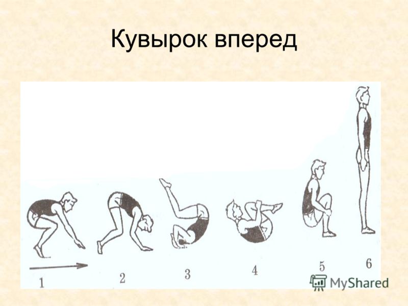 Реферат по физкультуре кувырок вперед 8495