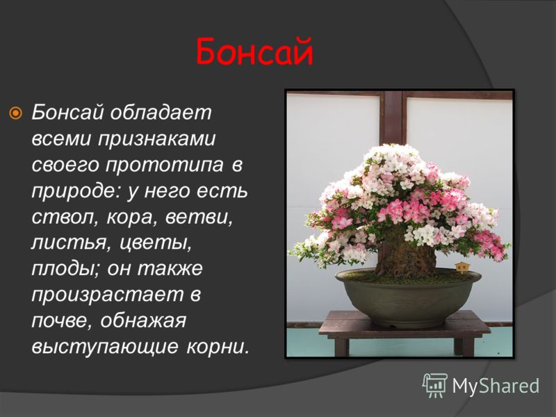 Контрольная работа по теме Япония, искусство икебаны Контрольная работа по теме Япония, искусство икебаны