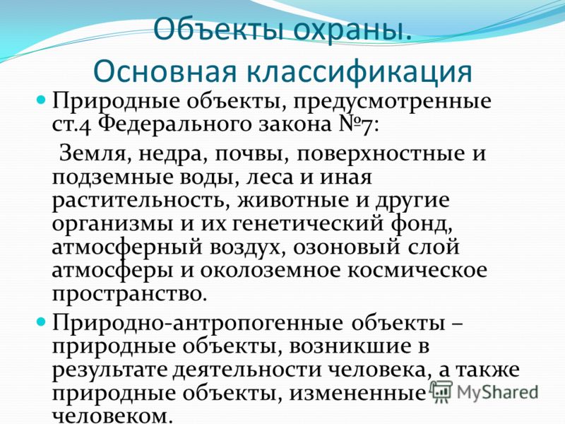 Лес как объект природных отношений Лес как объект природных отношений