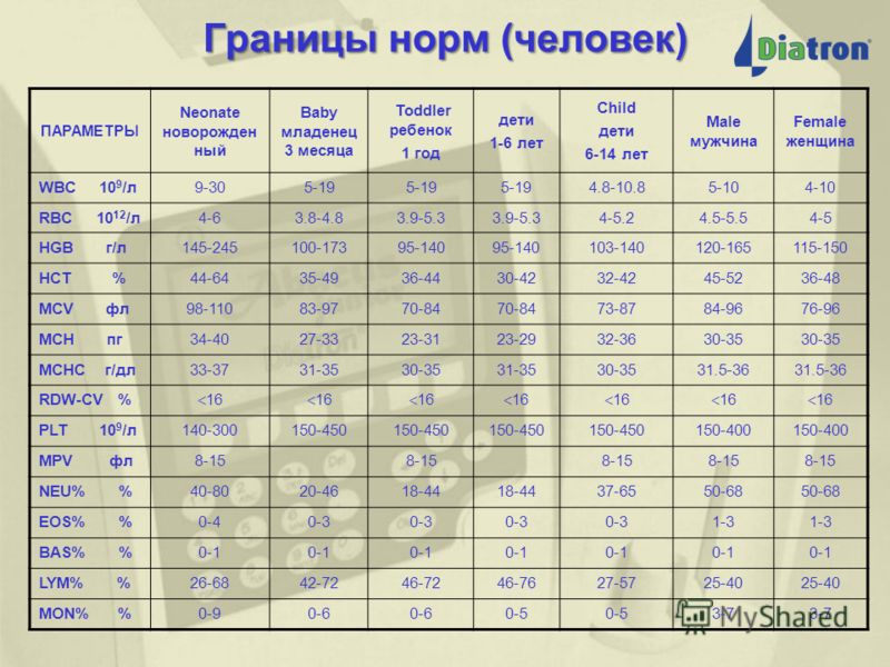 Hbe mch анализ крови Медицинская справка для соревнований Багратионовская