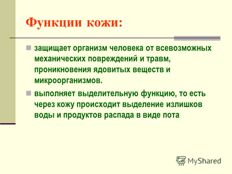 Защищающая функция кожи Защищающая функция кожи