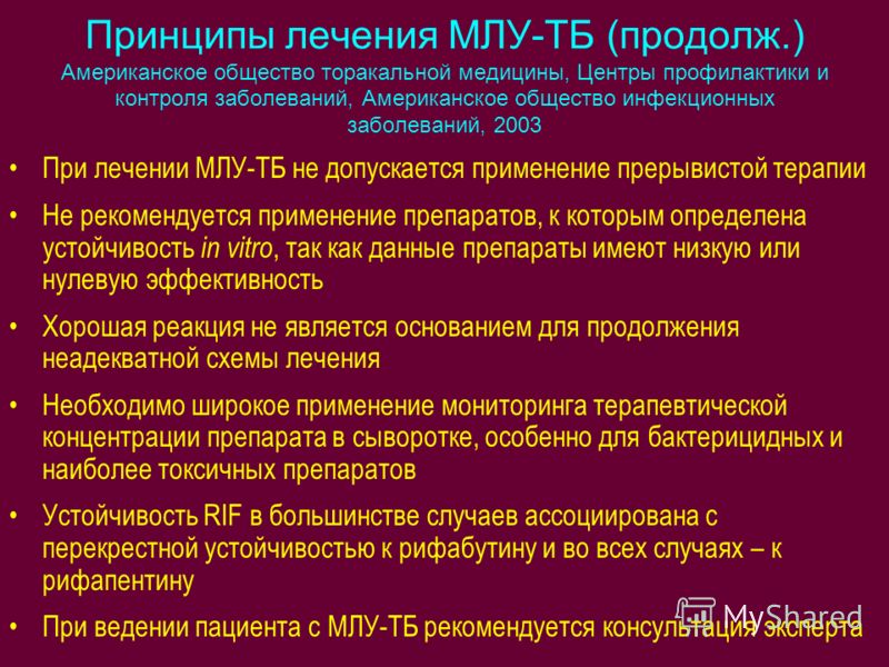 Основные характеристики популяций
