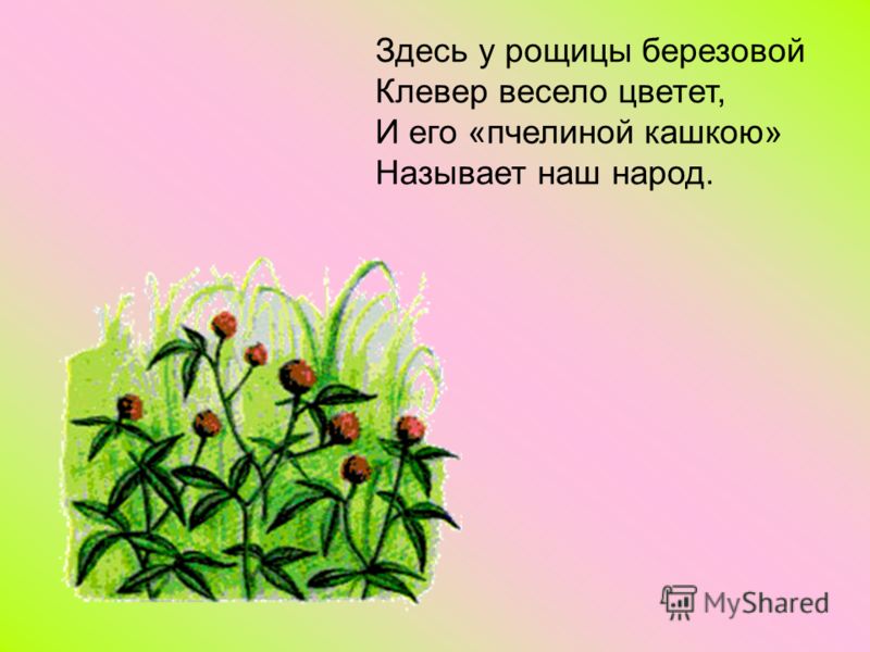 Стих здесь у рощицы Стих здесь у рощицы