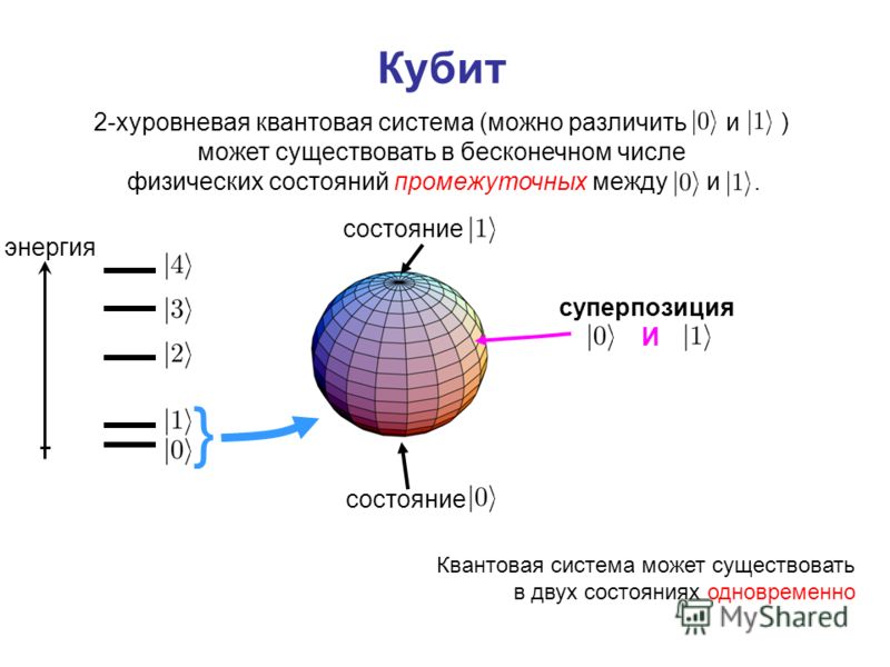 pdf школоведение курс лекций для студентов