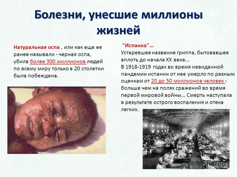 Причины боли в голове и шума в ушах