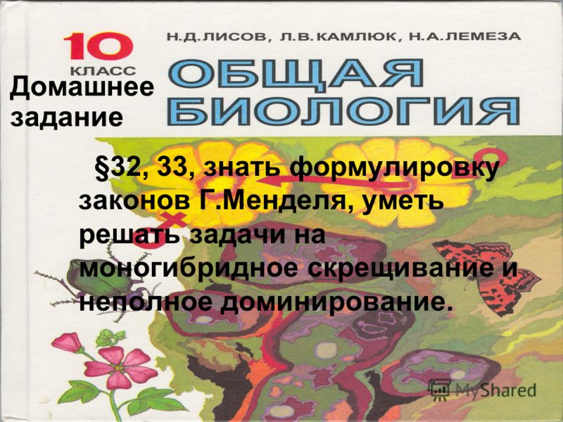 Секс с толстыми девушками и женщинами порно видео