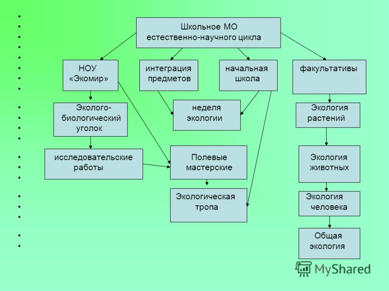 Темы для естественно научного проекта