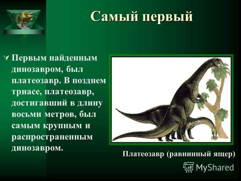 Самый первый Первым найденным динозавром, был платеозавр. В позднем триасе, платеозавр, достигавший в длину восьми метров, был самым крупным и распространенным динозавром. Платеозавр (равнинный ящер)