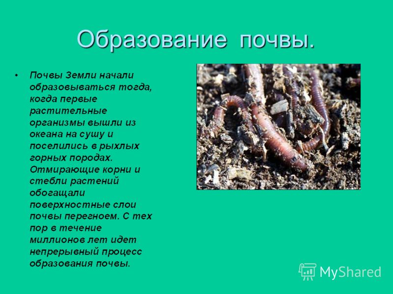 почва охрана почвы презентация 3 класс
