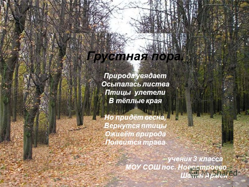 Грустный стих о природе Грустный стих о природе