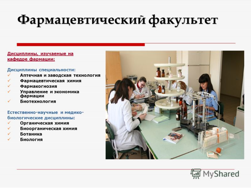 Какие дисциплины на специальность дизайн Какие дисциплины на специальность дизайн