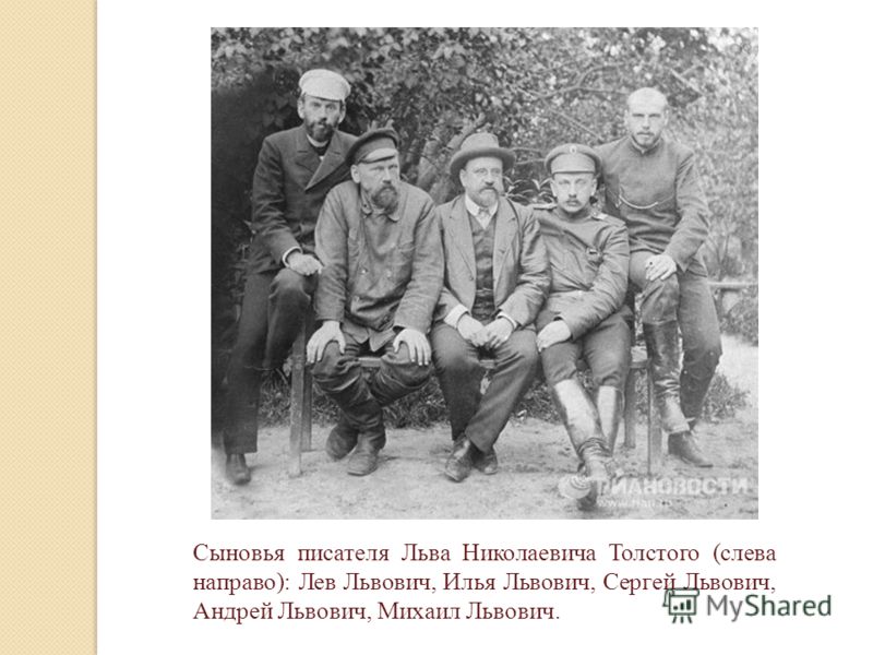 Сыновья Толстого Фото