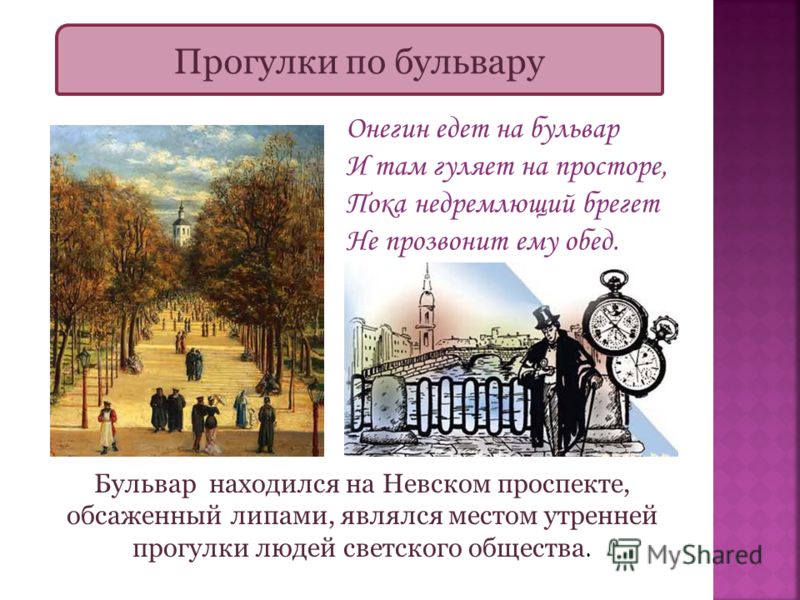 Жизнь Евгения Онегина - Name-scan.ru