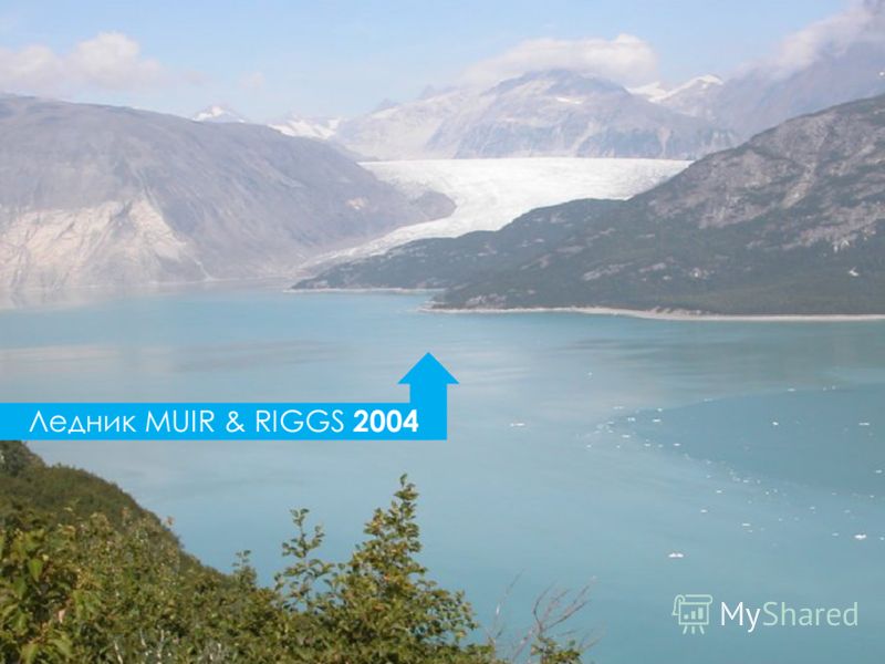 Ледник MUIR & RIGGS 2004
