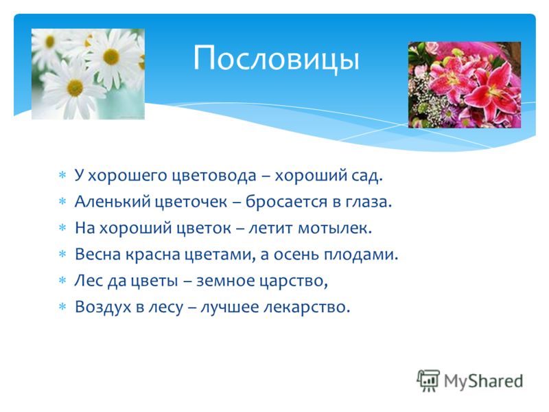 Пословицы о хорошем зрении Пословицы о хорошем зрении
