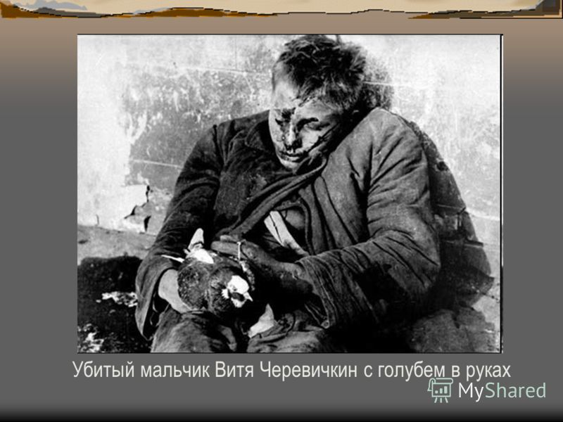 Убитый мальчик Витя Черевичкин с голубем в руках