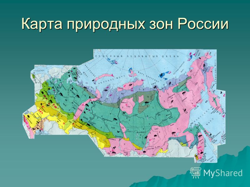Природные зоны россии 4 класс презентация