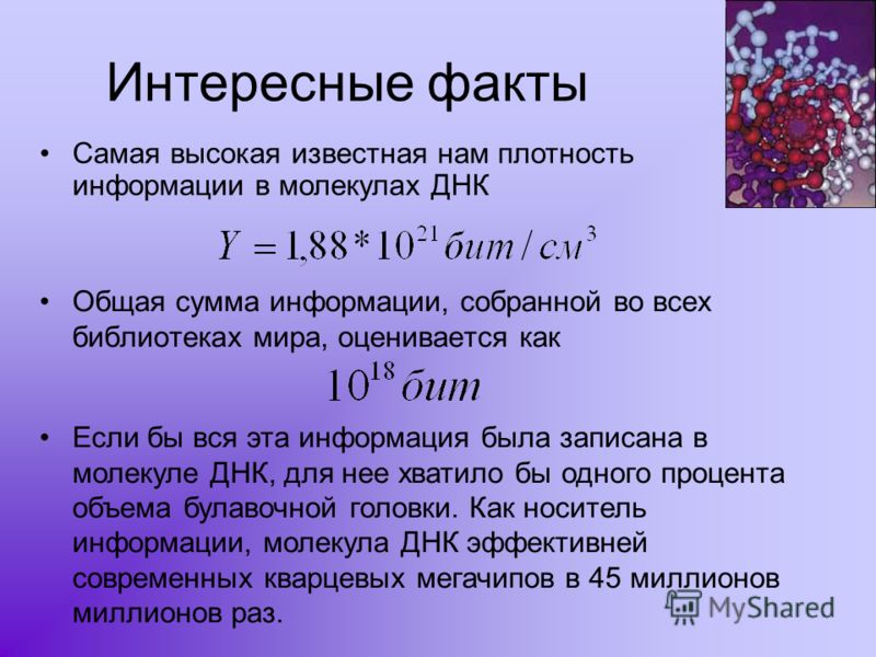 Реферат: Талейран-Перигор, Шарль Морис де Реферат: Талейран-Перигор, Шарль Морис де